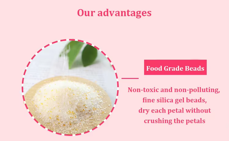 Silica Gel Drying Agent Flower